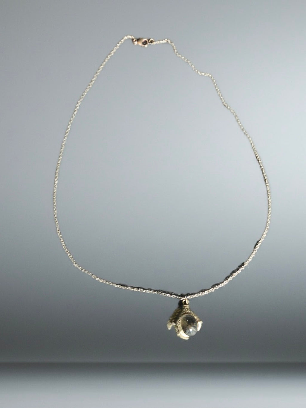 Eagle Claw Necklace